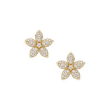CERCEI QUEEN OF THE NIGHT DIAMOND 